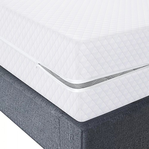 Anti bed bug mattress - bug,
