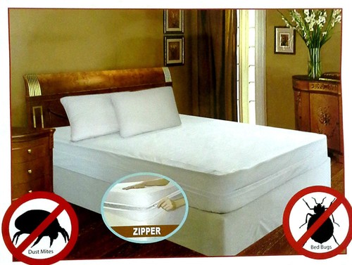 Bed bug hypoallergenic - bug,